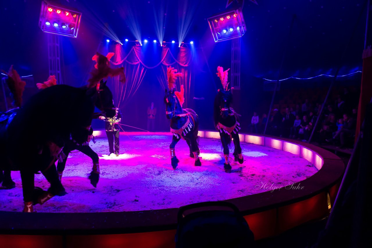 Bild 77 - Circus Europa